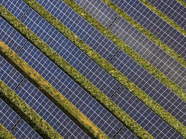 Large scale solar panel array seen from above
